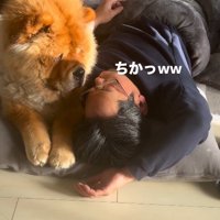 男性の寝顔を見つめる犬