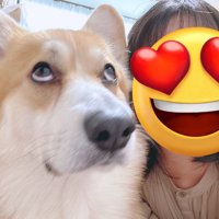 盛れなかった写真