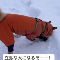 今後のお姿が楽しみ