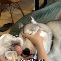 強い気持ちがある