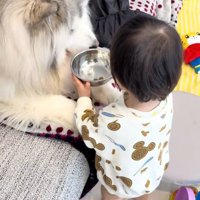 ごはんを持ってきた息子さん