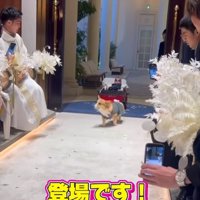 式場へ入ってくる中型犬