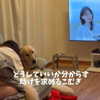 犬と一緒にドラマを見ている女性