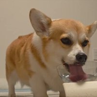 水分補給