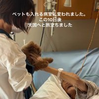 シェリーちゃんも大興奮！！