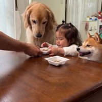 まずはほのちゃんの番