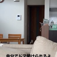 ドアを開けたくっきーちゃん