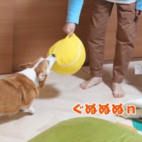 仲良く遊んでいる2人