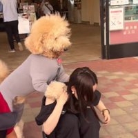 嬉しそうに背中へ♡
