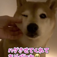とっても癒された飼い主さん