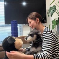 女性の膝の上に乗ってぬいぐるみを見る犬