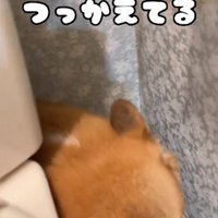 お尻がつっかえちゃった！！