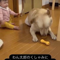 赤ちゃん、全身でビクッ！