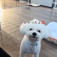 怒るポテトくん