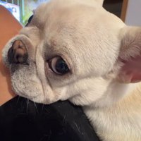 甘えん坊で可愛い♡