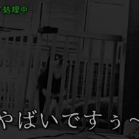 午前4時、すみすみちゃんの鳴き声が…