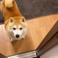 「また行っちゃうの…？」