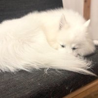 神々しい姿にうっとり…