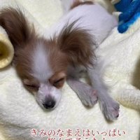 名前もたくさん考えた