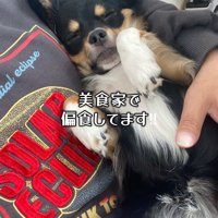 まさかの診断結果！