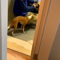 興味津々なことちゃん