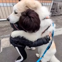 必死にこらえるパパ