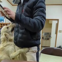 「採用！！採用！！」