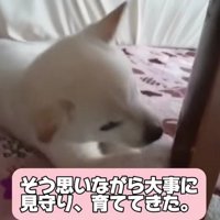 大切に大切に育てた結果…