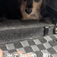 「やだ」