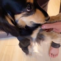 紬ちゃんのおねだり3