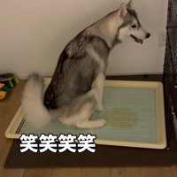 ゴロちゃんのドッキリへの反応9