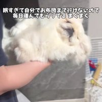 されるがまま…