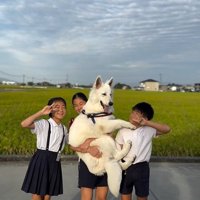 成長中のまる君