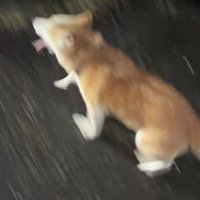 なかなか止まらない…