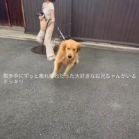 れおんちゃんが見つけたのは…