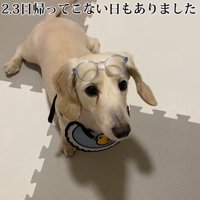 どんどん留守番が増えていった