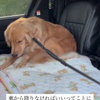 「僕は…」