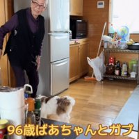 笑顔でこちらを見るおばあちゃん