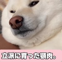 貫禄溢れる姿に成長