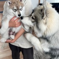 出会った頃の様子