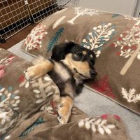 徐々に瞼が落ちていく…