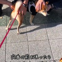 優しい対応にホッコリ