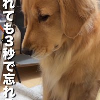 しょんぼり顔が可愛い♡