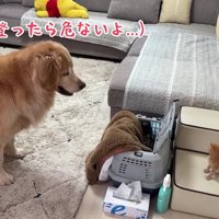 「気を付けて」