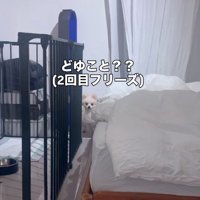「どういうこと…？」