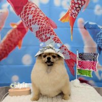 渋い表情で仁王立ち