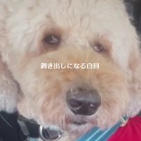 白目をむきながら耐える