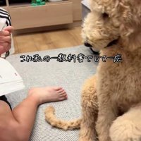 そっと前足を差し出すこなんちゃん