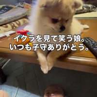 イクラちゃんと赤ちゃん2