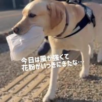 おばあちゃんにパンをお届け